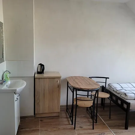 ホームステイ Noclegi トチェフ